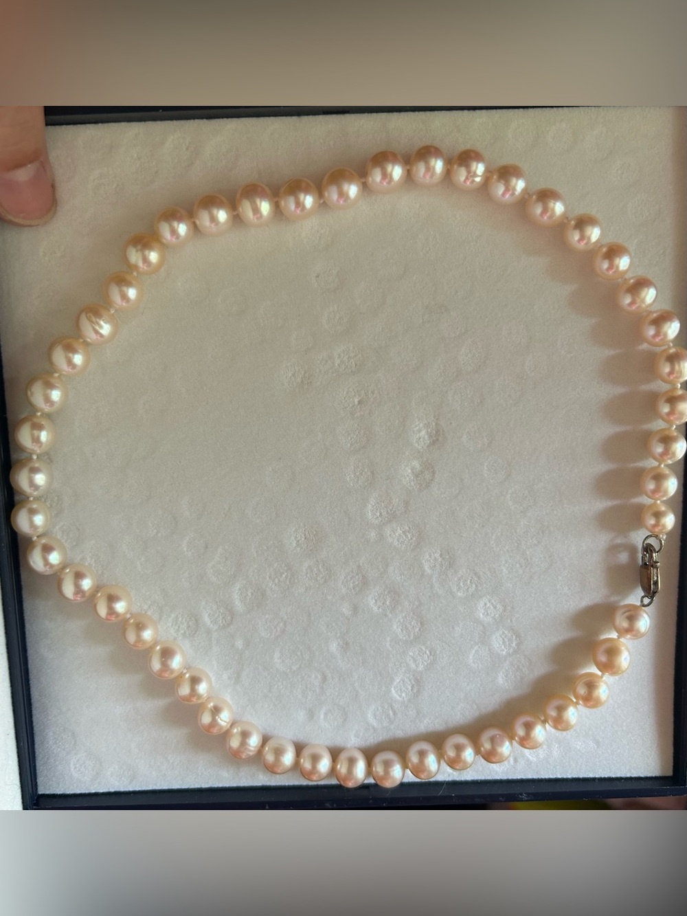 E.R. Aubrey Classic Pearl Necklace in Soft Champagne Hue